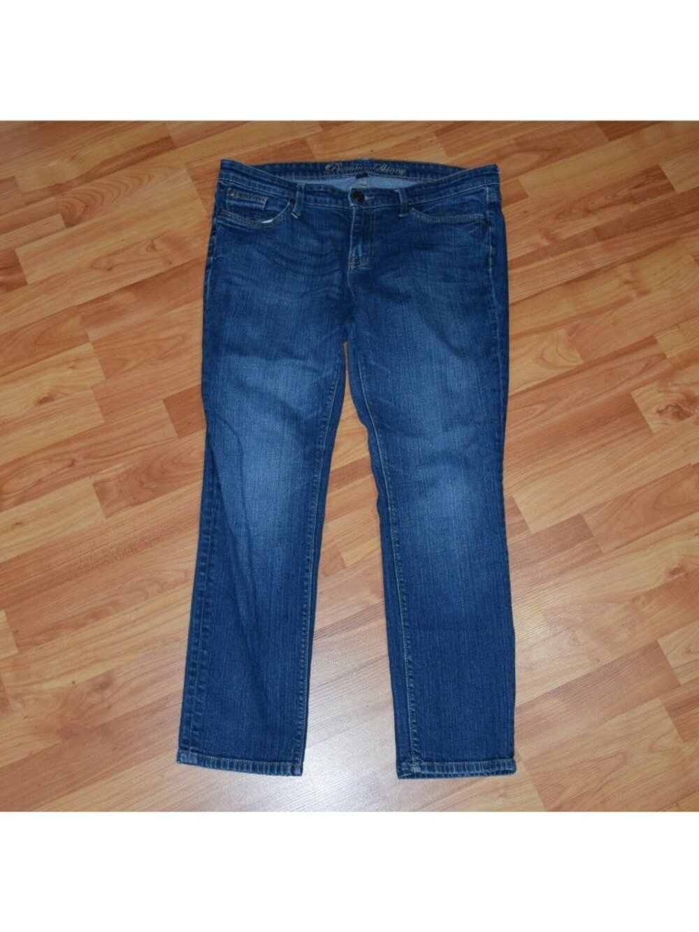 Gap Premium Skinny Women's sz 10 / 30A  Denim Jeans